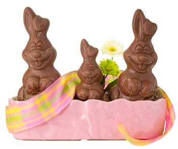 bunnies in pink tub